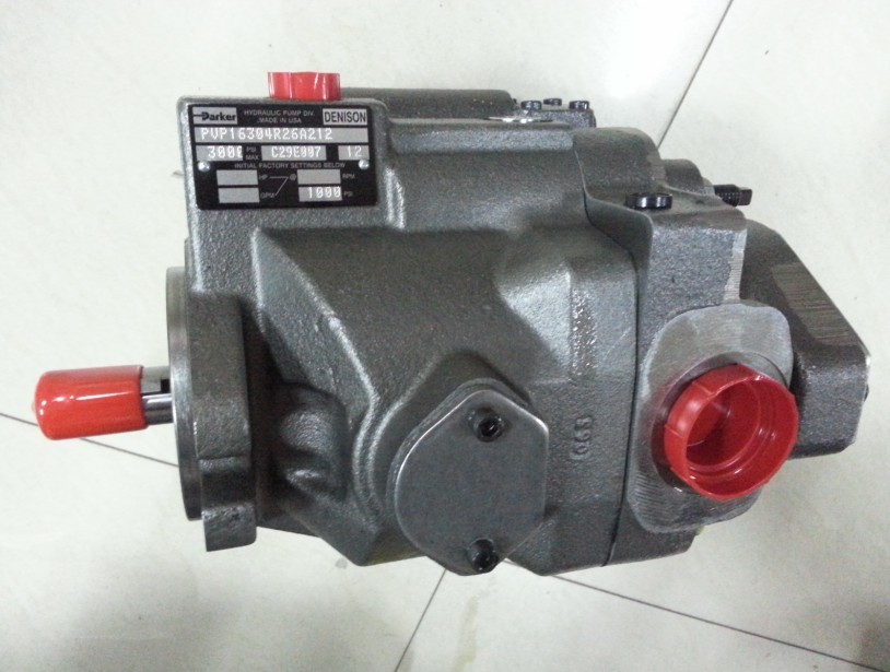 PVP16304.jpg PVP16304.jpg